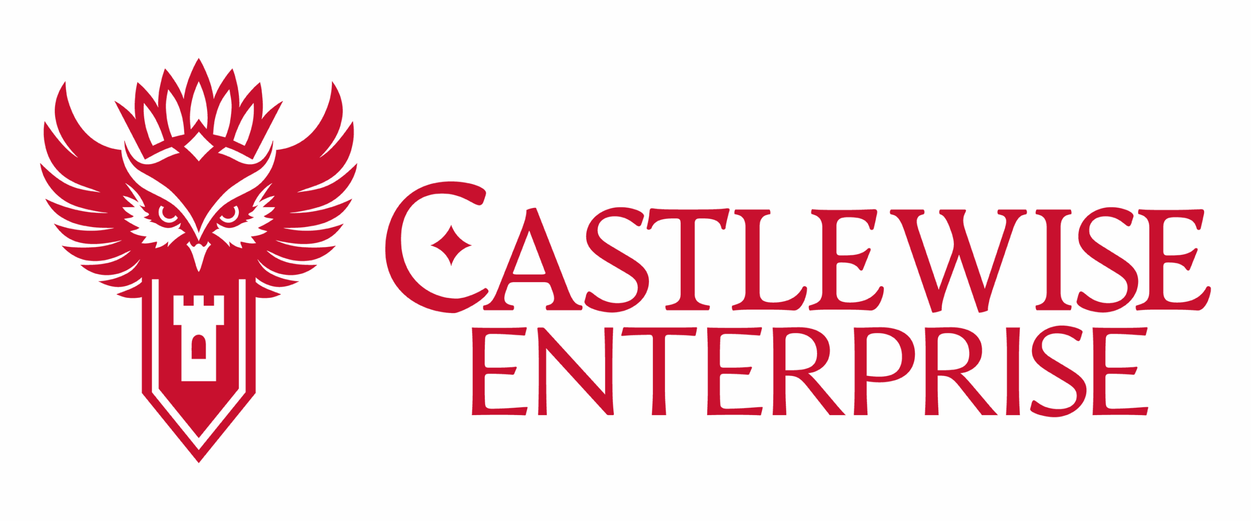 Castlewise Enterprise